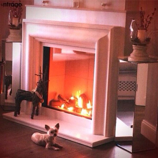 Знаменитости готовятся к Рождеству и новому 2014 году