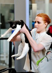 Кошки звезд: Кто не может быть без пушистых питомцев