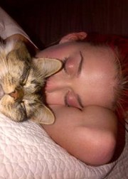 Кошки звезд: Кто не может быть без пушистых питомцев