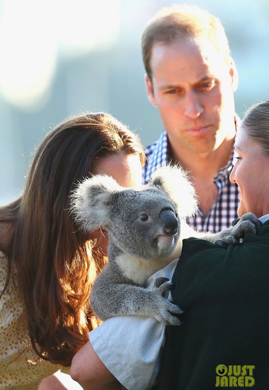 Кейт Миддлтон и Уильям с сыном на Пасху посетили зоопарк