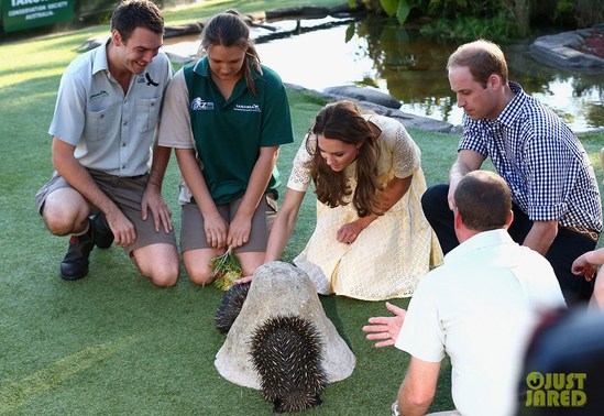 Кейт Миддлтон и Уильям с сыном на Пасху посетили зоопарк
