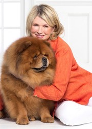 Животные знаменитостей с необычными именами