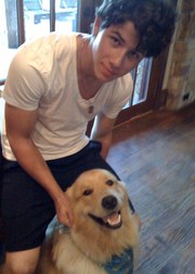 Животные знаменитостей с необычными именами